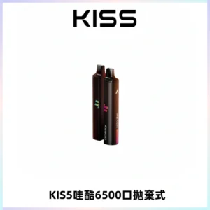 KIS5WAGOO哇酷6500口拋棄式 | 自由混搭雙口味 | 雙芯組合