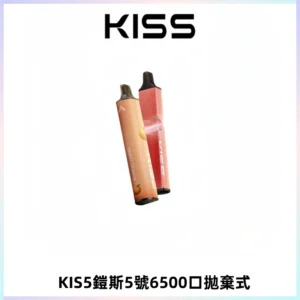 KIS5鎧斯5號一次性6500口磁吸式拋棄式電子煙#自由混搭#